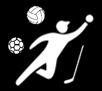 Multisports
